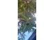 A green avocado hangs on a tree at 1612 Eastern Ave, St Cloud, FL 34771