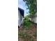 View of side yard showing some bushes at 1612 Eastern Ave, St Cloud, FL 34771