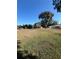 Wide view of a spacious front yard with mature trees and a blue sky overhead at 1732 Sw 6Th St, Ocala, FL 34471
