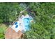 Aerial view of a community pool with umbrellas and lounge chairs surrounded by lush trees at 5259 Images Cir # 301, Kissimmee, FL 34746