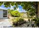 Lush backyard with tropical plants and a paver patio, perfect for outdoor entertaining at 7557 Azalea Cove Cir, Orlando, FL 32807