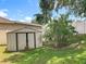 Back yard with shed, healthy grass and beautiful shade tree at 7939 Riffle Ln, Orlando, FL 32818