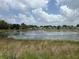 Scenic pond view with lush green surroundings and peaceful homes in the background at 873 Daring Dr, Davenport, FL 33837