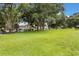 Large grassy backyard with mature trees, providing a serene outdoor space at 8932 Village Green Blvd, Clermont, FL 34711