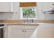 Kitchen sink with a view from the window at 121 W Oakland Ave, Oakland, FL 34760
