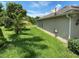 View of backyard with lush green grass and a small palm tree at 1227 Juniper Hammock St, Winter Garden, FL 34787