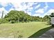Expansive backyard with lush green lawn and mature palm trees under a blue, partly cloudy sky at 1390 E Airport Blvd, Sanford, FL 32773