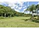 Expansive backyard with lush green lawn and mature palm trees under a blue, partly cloudy sky at 1390 E Airport Blvd, Sanford, FL 32773