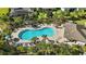 Overhead view showcasing a sparkling pool with sun loungers, swaying palms, and a nearby shaded area at 13924 Jomatt Loop, Winter Garden, FL 34787