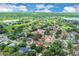 Beautiful aerial perspective showcases a tranquil residential neighborhood with mature trees and well-maintained properties at 1484 Lake Francis Dr, Apopka, FL 32712