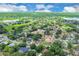 Panoramic aerial shot displays a sprawling neighborhood with mature trees, lakes, and green spaces creating a peaceful landscape at 1484 Lake Francis Dr, Apopka, FL 32712