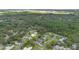 Aerial view of homes in a neighborhood surrounded by lush trees at 2101 Lily Ct, Sanford, FL 32771