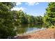 Scenic lake view surrounded by lush trees under a clear blue sky at 4709 Fox St, Orlando, FL 32814