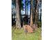 Wooden dock featuring a covered boat house surrounded by cypress trees and leading to a serene lake at 5416 Bay Side Dr, Orlando, FL 32819