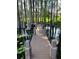 Idyllic dock surrounded by cypress trees with a wooden walkway leading to a peaceful, shaded area on the water at 5416 Bay Side Dr, Orlando, FL 32819