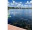 Beautiful view of a serene lake with clear waters and aquatic plants, offering a peaceful and natural setting at 5416 Bay Side Dr, Orlando, FL 32819