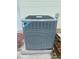 Daikin HVAC unit on concrete pad, providing modern climate control for the home at 5935 Sheryl Anita St, Oviedo, FL 32765