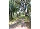 View of the front yard landscaping, featuring green grass and mature shade trees at 9148 Oakwood Dr, Lake Wales, FL 33898