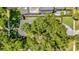 An aerial view showcasing the property's lush greenery, surrounding foliage, and overall landscape at 1217 Kenwood Ave, Winter Park, FL 32789