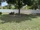 Expansive backyard featuring a large shade tree and white vinyl fence at 13000 Sandy Pine Ln, Clermont, FL 34711
