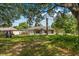 Expansive backyard with lush green grass and mature trees, perfect for outdoor activities at 19 Hemlock Terrace Way, Ocala, FL 34472
