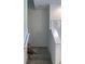 Clean staircase with white railings and carpeted steps, leading to the upper level of the home at 1003 E 10 St, Apopka, FL 32703