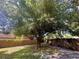 A serene backyard featuring a large tree, green grass, and a wooden fence for privacy at 1358 Brookebridge Dr, Orlando, FL 32825