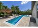 Inviting backyard featuring a long, narrow private pool, sun loungers, an umbrella table, and tropical landscaping at 17551 Black Rail St, Windermere, FL 34786