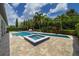 An inviting backyard oasis featuring a sparkling pool, spa, and lush landscaping at 17551 Black Rail St, Windermere, FL 34786