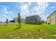 Expansive backyard features healthy green grass with the home in view and some young trees at 2817 Muller Oak Loop, Ocoee, FL 34761
