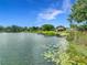 Scenic lake view showcasing lush landscaping, docks and homes along the water at 3417 Pershing Ave, Orlando, FL 32812