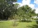 Lush green backyard showcasing mature trees and shrubbery enhancing privacy at 3700 Washington St, Sanford, FL 32771