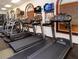 Well-equipped fitness center featuring modern treadmills and exercise equipment for residents at 109 Cambria Ave, Davenport, FL 33897