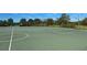 Outdoor basketball court surrounded by trees and greenery, perfect for sports and recreation at 14845 Speer Lake Dr, Winter Garden, FL 34787