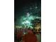 A crowd gathers to watch a vibrant fireworks show, creating a lively community atmosphere at 14845 Speer Lake Dr, Winter Garden, FL 34787