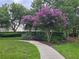 Landscaped park with inviting bench and a sidewalk surrounded by beautiful flowering trees at 14845 Speer Lake Dr, Winter Garden, FL 34787