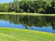Scenic view of a tranquil pond with lush greenery and two birds feeding near the water's edge at 14845 Speer Lake Dr, Winter Garden, FL 34787