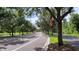 Picture of a street with decorative flags and lush trees in a well-maintained neighborhood at 14845 Speer Lake Dr, Winter Garden, FL 34787