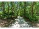 Shaded walking trail with lush, green vegetation at 2350 Derbyshire Rd, Maitland, FL 32751