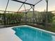 Relaxing screened-in pool with white concrete patio surrounded by lush greenery at 2505 Osprey Creek Ct, Kissimmee, FL 34747