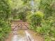 Gated driveway through lush greenery and mature trees at 32125 Okaloosa Trl, Sorrento, FL 32776