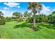 Lush green backyard featuring mature trees and manicured landscaping, creating a serene outdoor setting at 8977 Majesty Palm Rd, Kissimmee, FL 34747