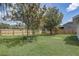 Expansive backyard featuring lush green grass, mature trees, and a privacy fence at 10599 Satinwood Cir, Orlando, FL 32825