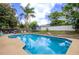 Inviting backyard oasis with a sparkling blue pool, surrounded by lush greenery and privacy fence at 2005 Dalton Ave, Deltona, FL 32725