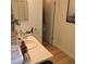 Bathroom featuring a sink vanity with a separate room for the toilet at 2480 Tahoe Cir # 2480, Winter Park, FL 32792