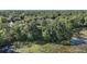 Breathtaking aerial shot of lush trees surrounding the area near the property and its natural surrounding at 42108 Pine Valley Dr, Paisley, FL 32767