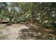 Expansive backyard with lush trees and wooden features at 42108 Pine Valley Dr, Paisley, FL 32767