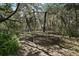 Backyard with trampoline surrounded by lush trees at 42108 Pine Valley Dr, Paisley, FL 32767