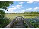 Old wooden dock on a lake covered with green water lilies, beneath a blue sky at 42108 Pine Valley Dr, Paisley, FL 32767