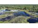 Picturesque lake view with lily pads and serene waters reflecting the sky above, adding natural beauty to the landscape at 42108 Pine Valley Dr, Paisley, FL 32767